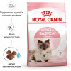 Royal Canin Mother & Babycat 0,4 кг (2544004) - зображення 10