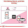 Royal Canin Kitten Instinctive in Jelly 85 г (4150001) - зображення 3