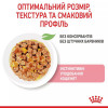 Royal Canin Kitten Instinctive in Jelly 85 г (4150001) - зображення 6