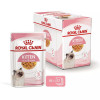 Royal Canin Kitten Instinctive in Jelly 85 г (4150001) - зображення 9