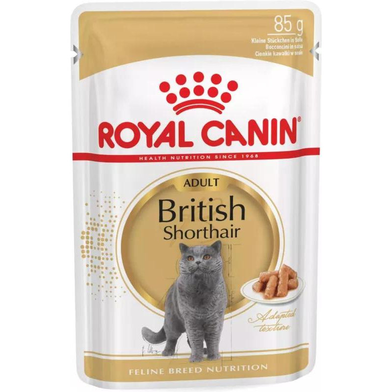 Royal Canin British Shorthair Adult 85 г (2032001) - зображення 1