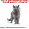 Royal Canin British Shorthair Adult 85 г (2032001) - зображення 8