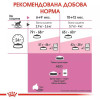 Royal Canin Kitten Sterilised 0,4 кг (2562004) - зображення 4