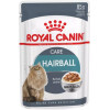 Royal Canin Hairball Care 85 г (4158001) - зображення 2