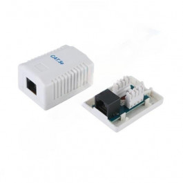   NetBasics RJ-45 UTP Cat. 5е біла (CWP6038-C5E)