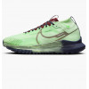 Nike Кросівки  Pegasus Trail 4 Gore-Tex Green DJ7926-303 41 - зображення 1