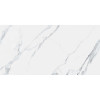 Almera Ceramica Carrara K1264334YAM - зображення 1