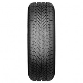   Paxaro INVERNO (225/60R17 103H)