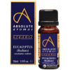 Absolute Aromas Масло эфирное Эвкалипт органическое 10 мл (0800783006103) - зображення 1