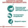 Royal Canin Instinctive in Gravy +7 85 г (4083001) - зображення 4