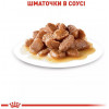 Royal Canin Instinctive in Gravy +7 85 г (4083001) - зображення 5