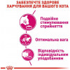 Royal Canin Savour Exigent 2 кг (2531020) - зображення 5