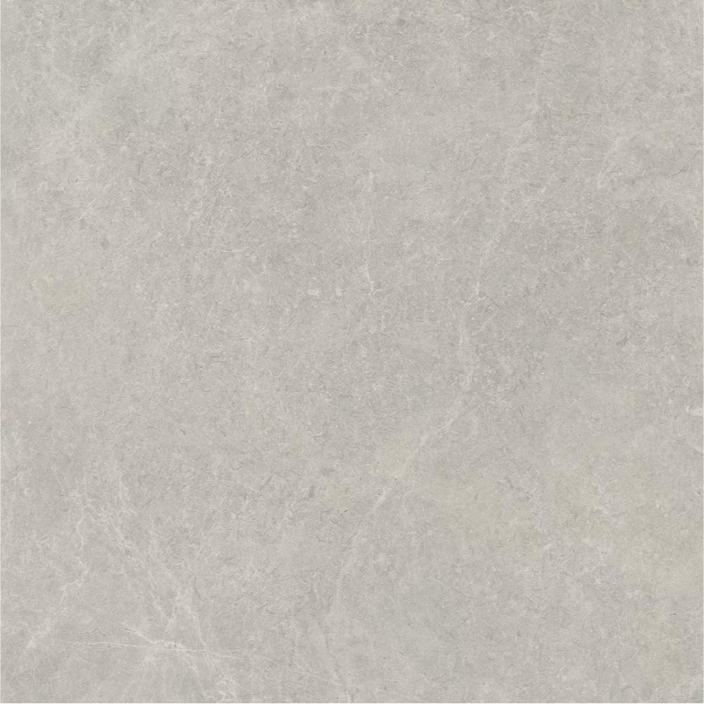 Paradyz UNIWERSALNE U118 Light Grey Rekt Poler 60x60 - зображення 1