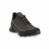 Salomon Кросівки  Alphacross 5 Gtx Olive 473103 45 - зображення 2