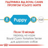 Royal Canin Yorkshire Terrier Puppy 7,5 кг (3972075) - зображення 5