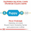 Royal Canin Yorkshire Terrier Puppy 0,5 кг (3972005) - зображення 5