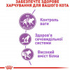 Royal Canin Sterilised 37 0,4 кг (2537004) - зображення 4