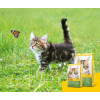 Josera Kitten Grainfree 400 г (50011054) - зображення 4