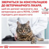 Royal Canin Diabetic Feline 0,4 кг (3906004) - зображення 7