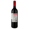 Pico Andino Вино  Cabernet Sauvignon, 0,75 л (7804664410082) - зображення 2