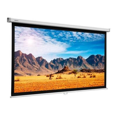 Projecta SlimScreen 139x240 MW (10201073) - зображення 1