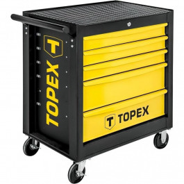   TOPEX 79R501