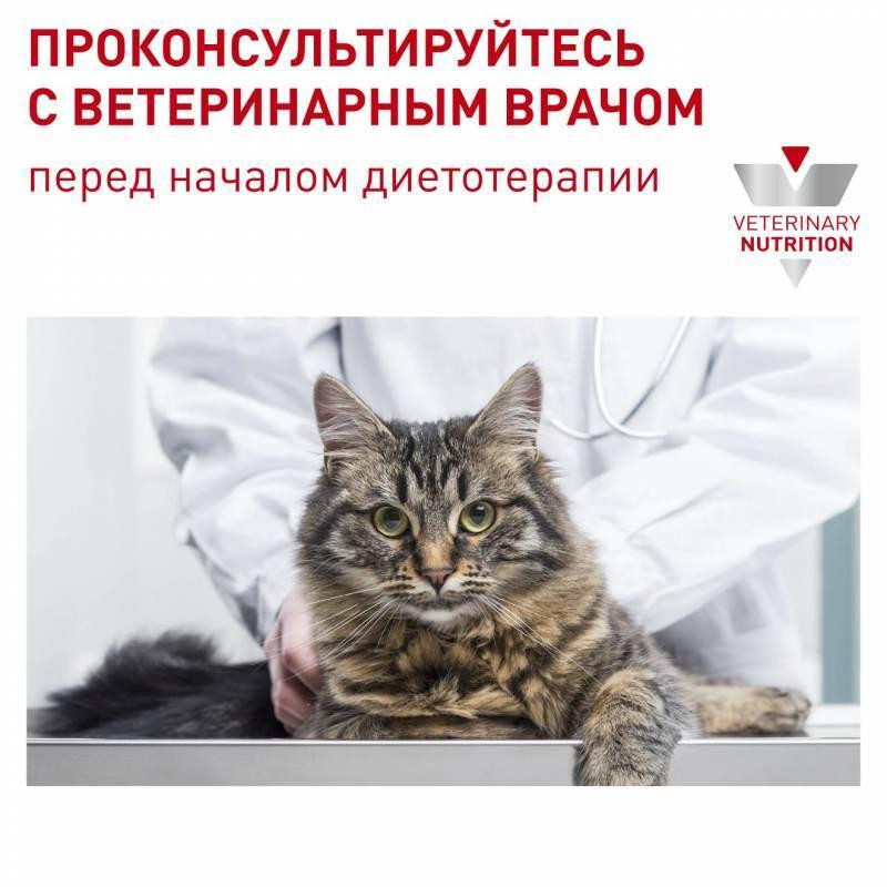 Royal Canin Neutered Balance 85 г (9003579015643) - зображення 1