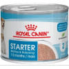 Royal Canin Starter Mousse 195 г (4077002) - зображення 1