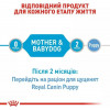 Royal Canin Starter Mousse 195 г (4077002) - зображення 3