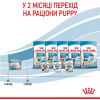 Royal Canin Starter Mousse 195 г (4077002) - зображення 9