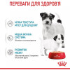 Royal Canin Starter Mousse 195 г (4077002) - зображення 10