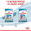 Royal Canin Giant Puppy - зображення 7