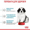 Royal Canin Giant Puppy - зображення 9