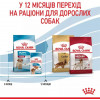 Royal Canin Medium Puppy 4 кг (30030401) - зображення 5