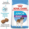 Royal Canin Giant Junior 15 кг (3031150) - зображення 2