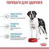 Royal Canin Giant Junior 15 кг (3031150) - зображення 7