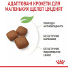 Royal Canin Giant Junior 15 кг (3031150) - зображення 8