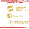 Royal Canin Dachshund Adult - зображення 9