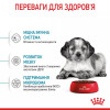 Royal Canin Medium Puppy 1 кг (30030101) - зображення 8