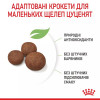 Royal Canin Medium Puppy 1 кг (30030101) - зображення 9