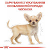 Royal Canin Puppy Chihuahua 0,5 кг (2438005) - зображення 5