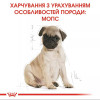 Royal Canin Puppy Pug 1,5 кг (4130015) - зображення 3