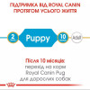 Royal Canin Puppy Pug 1,5 кг (4130015) - зображення 7