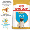 Royal Canin Puppy Pug 1,5 кг (4130015) - зображення 9