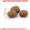 Royal Canin Sterilised 7+ 10 кг (2560100) - зображення 3