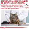 Royal Canin Gastro Intestinal Feline 85 г (40390011) - зображення 6