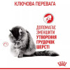 Royal Canin Hairball Care 0,4 кг (2534004) - зображення 6