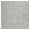 Allore Group Crystal Light beige F P R Mat 60x60 - зображення 1