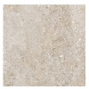 Allore Group Crystal Beige F PCR R Mat 60x60 - зображення 1