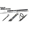 Fishing ROI Big Catfish / 1.80m 100-200g (225-10-180) - зображення 1